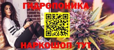 ПСИЛОЦИБИНОВЫЕ ГРИБЫ Тара