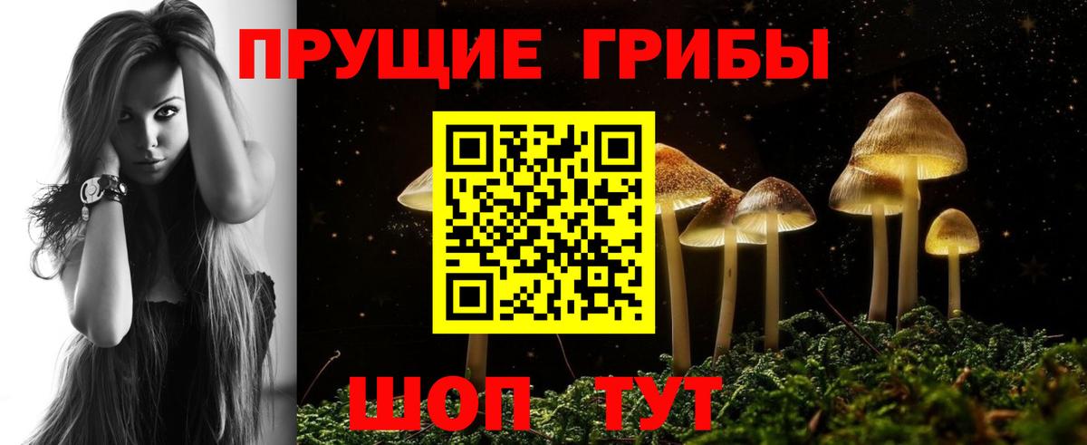 Можайск  Галлюциногенные грибы Cubensis  Вход с VPN 